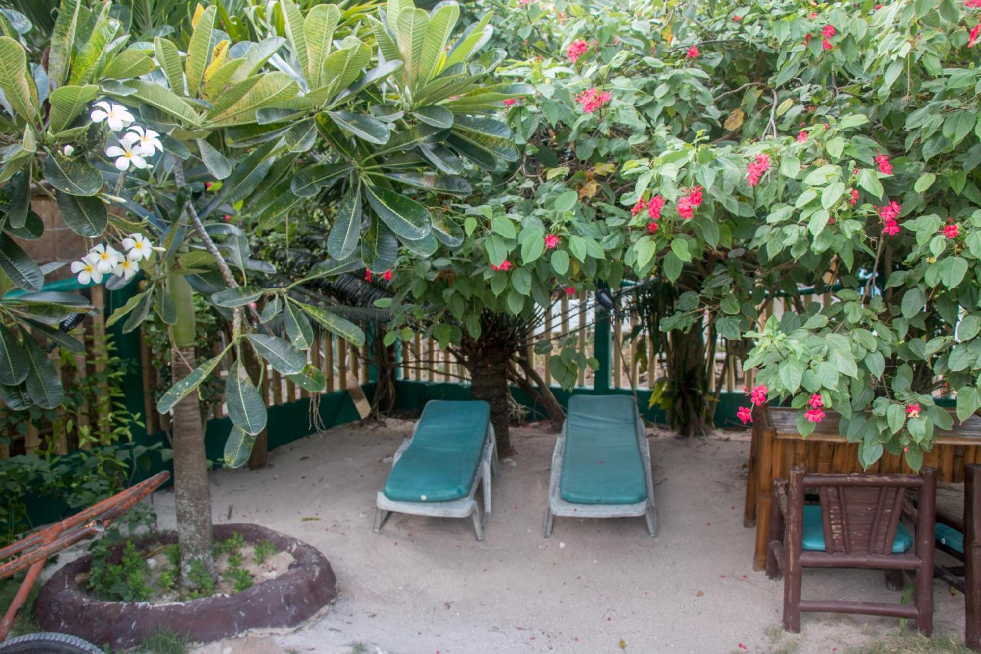 Moonlight Resort Đảo Malapascua Ngoại thất bức ảnh